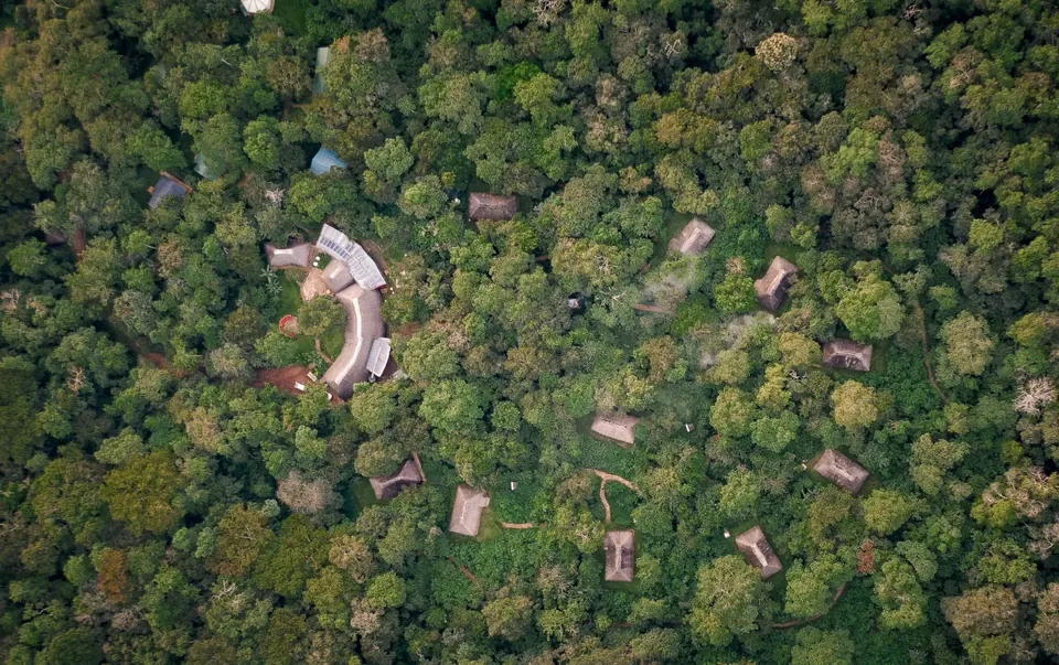 The unbroken rainforest canopy of Kibale National Park from above