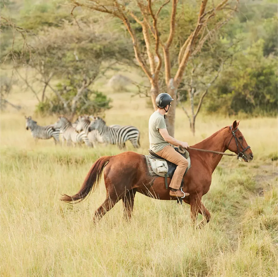 A horseback safari crossing open grassland at Lake Mburo